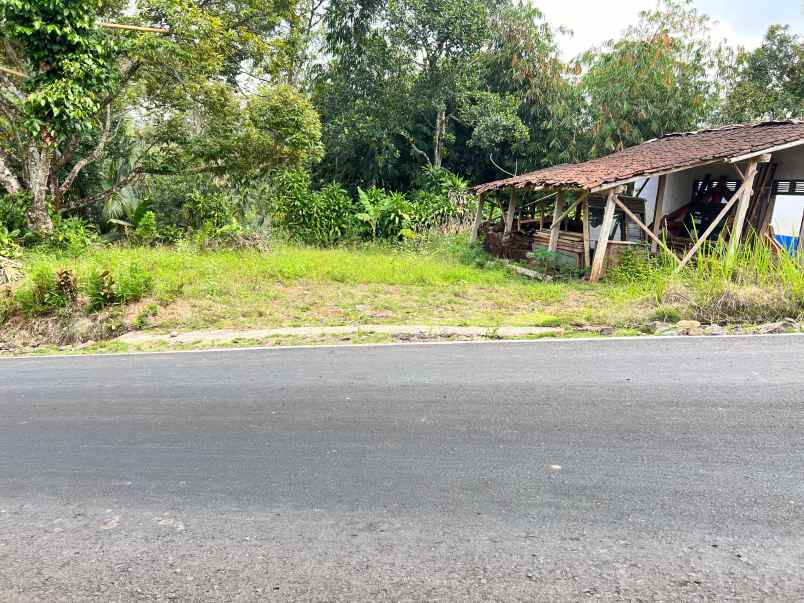 tanah 250 juta tepi jl kerjo kemuning karanganyar