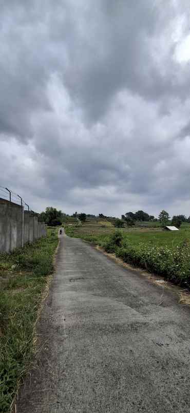 tanah akses mudah luasan besar harga murah pacet