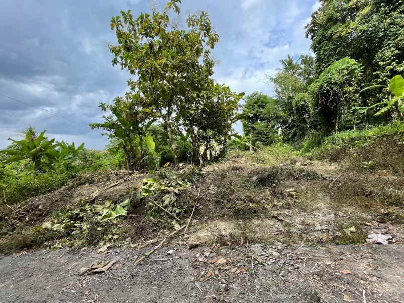 tanah balecatur cocok villa view gunung merapi