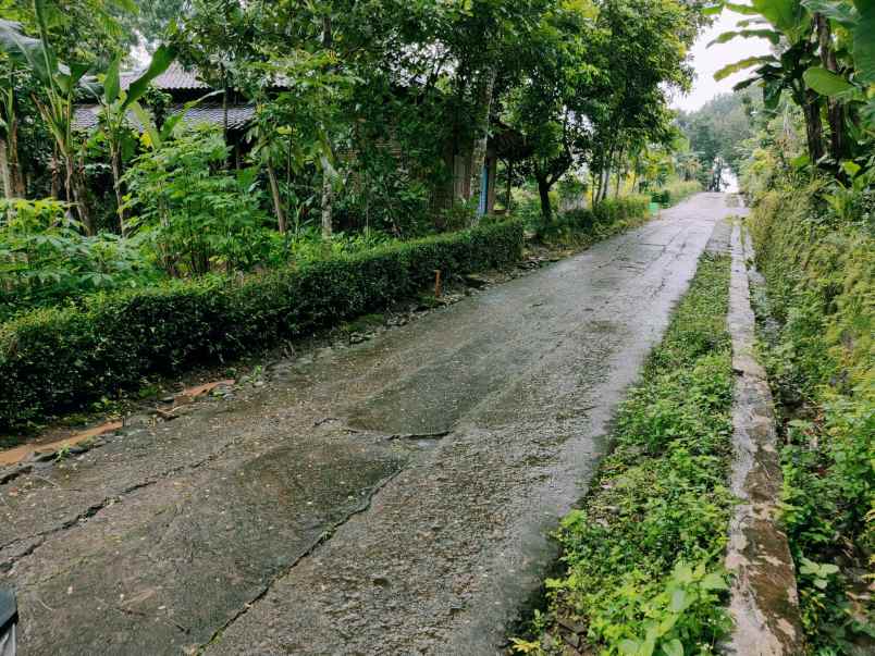 tanah barat pondok pesantren mta