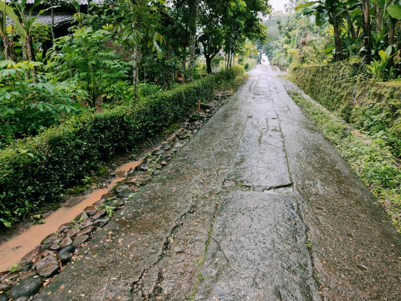 tanah barat pondok pesantren mta