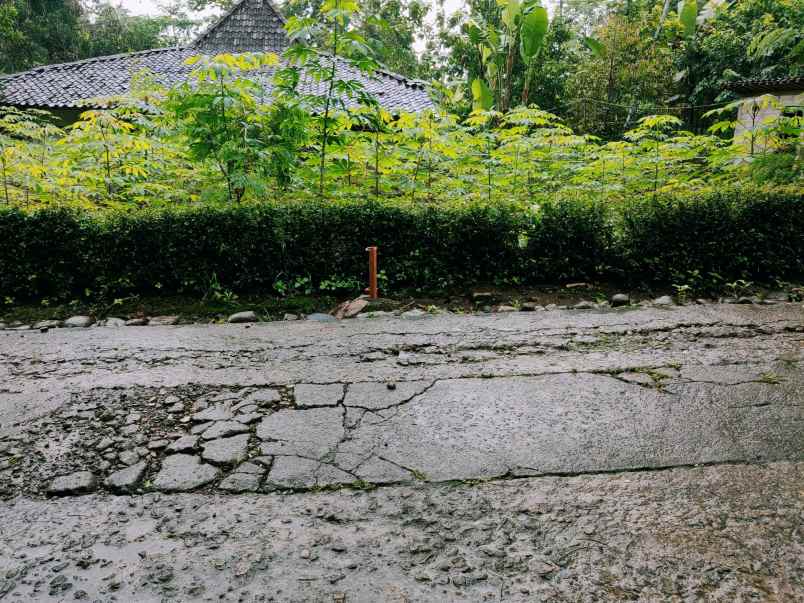 tanah barat pondok pesantren mta