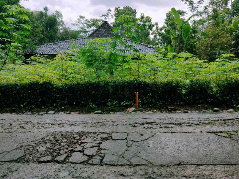 tanah barat pondok pesantren mta