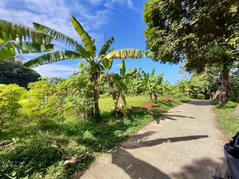 tanah best view siap bangun cijayanti sentul city