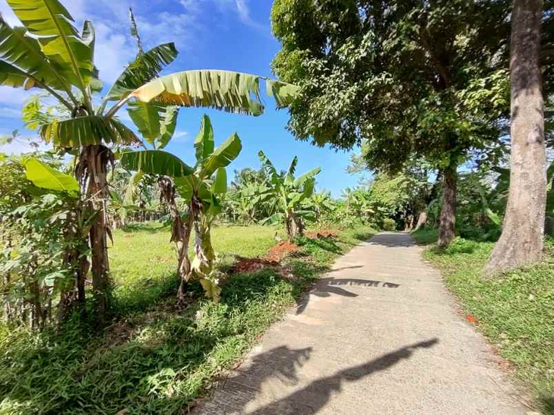 tanah best view siap bangun cijayanti sentul city