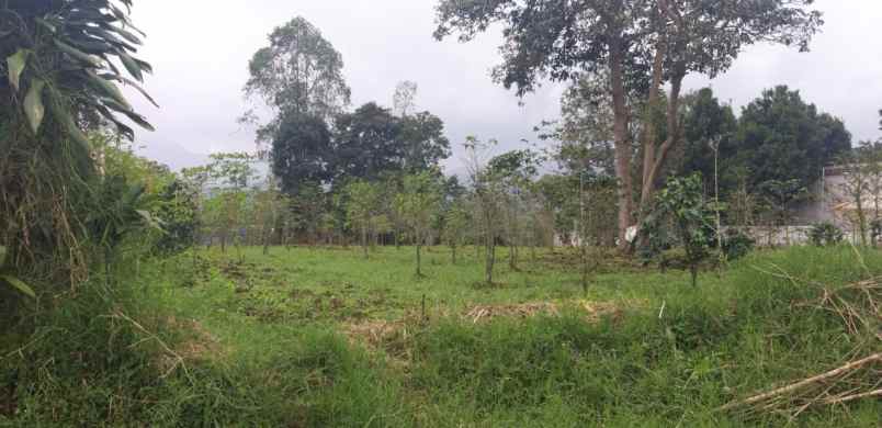 tanah blok talaga ciwidey