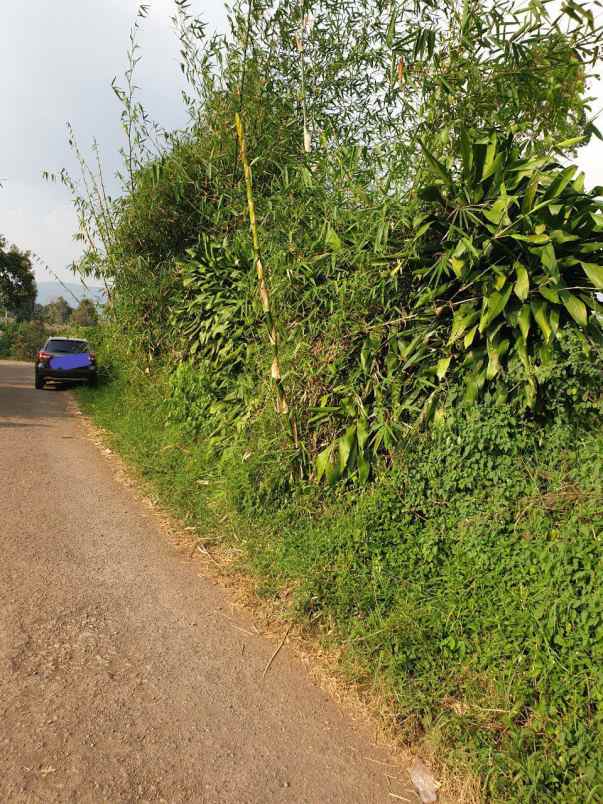 tanah blok talaga ciwidey