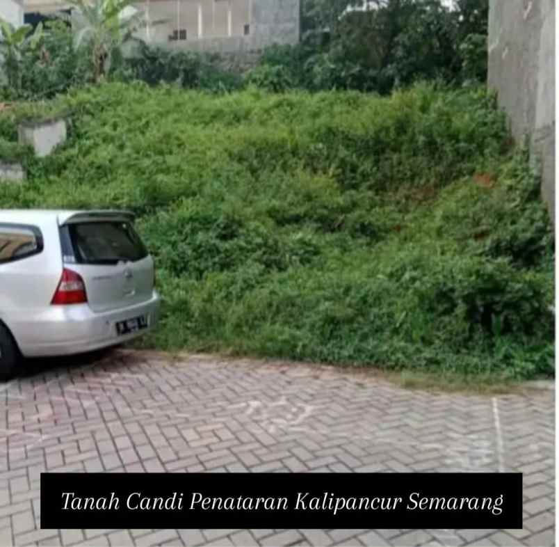 tanah candi penataran kalipancur semarang