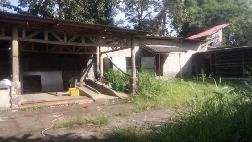 tanah cihideung palasari bogor