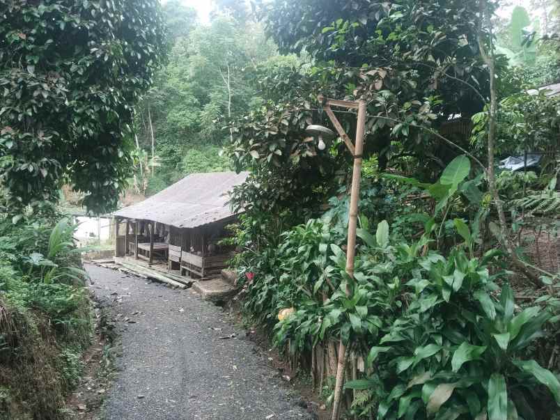 tanah dekat sungai ciater subang jawa barat