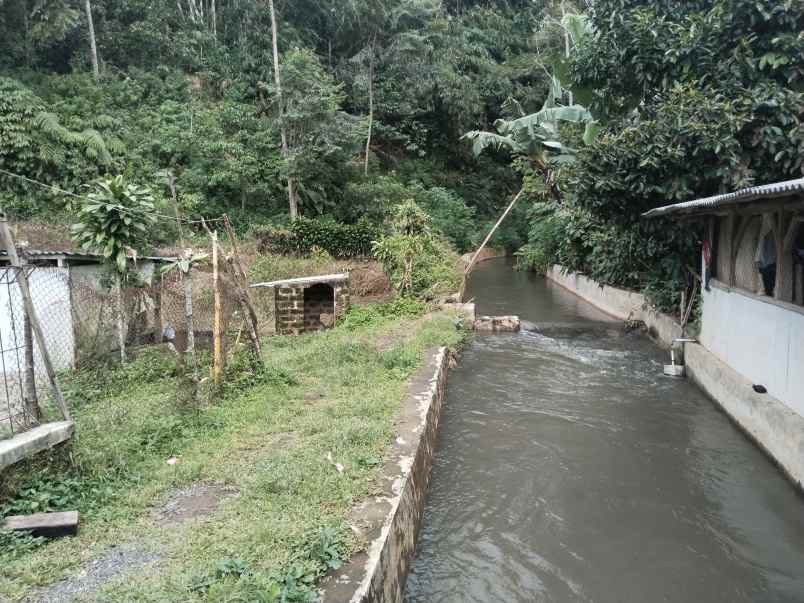 tanah dekat sungai ciater subang jawa barat