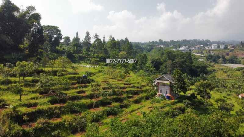 tanah dengan view bagus dan aliran mata air