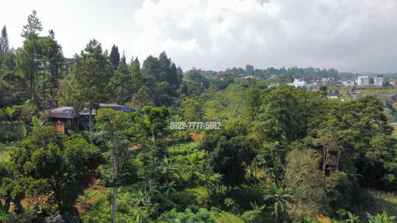 tanah dengan view bagus dan aliran mata air