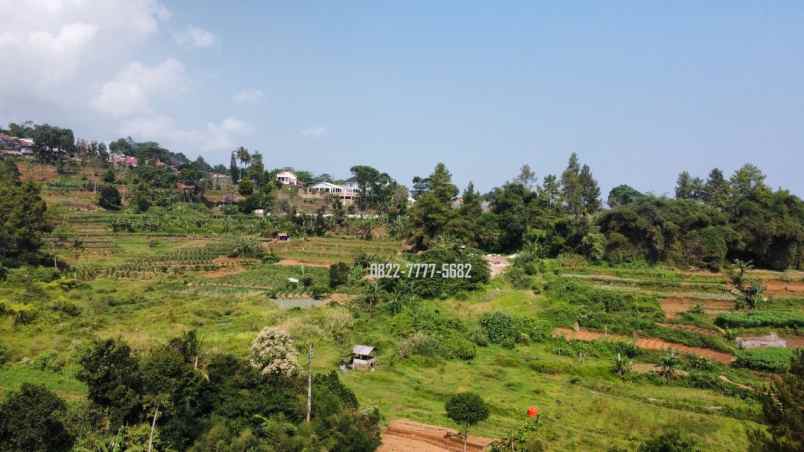 tanah dengan view bagus dan aliran mata air