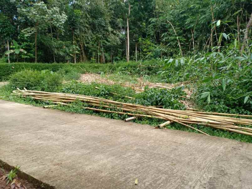 tanah karangpandan karanganyar