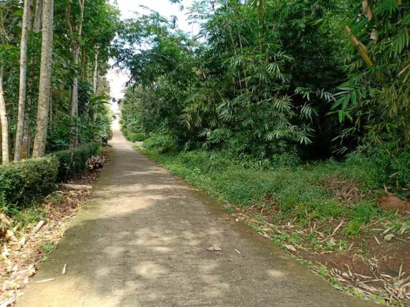 tanah karangpandan karanganyar