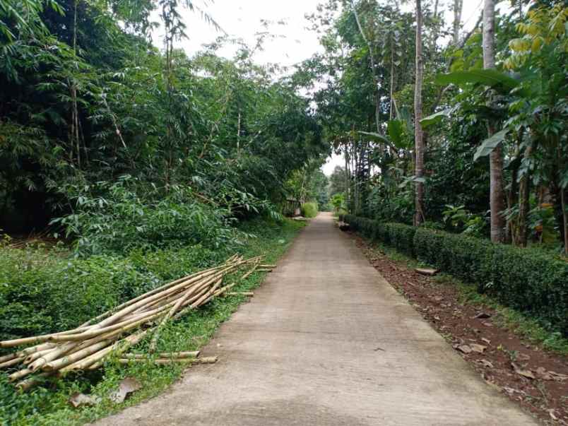 tanah karangpandan karanganyar