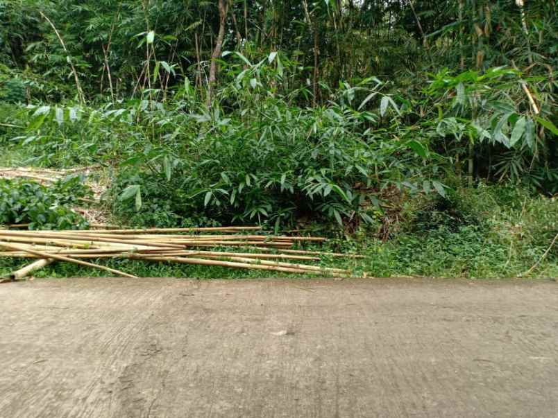 tanah karangpandan karanganyar