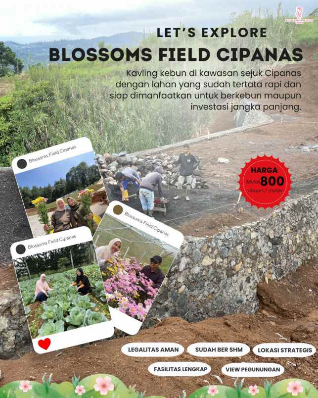 tanah kavling kebun di sukaresmi cianjur