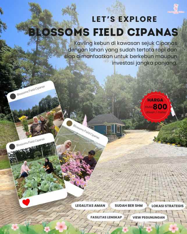 tanah kavling kebun di sukaresmi cianjur