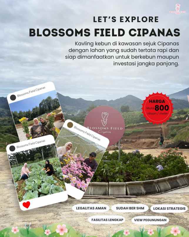 tanah kavling kebun di sukaresmi cianjur