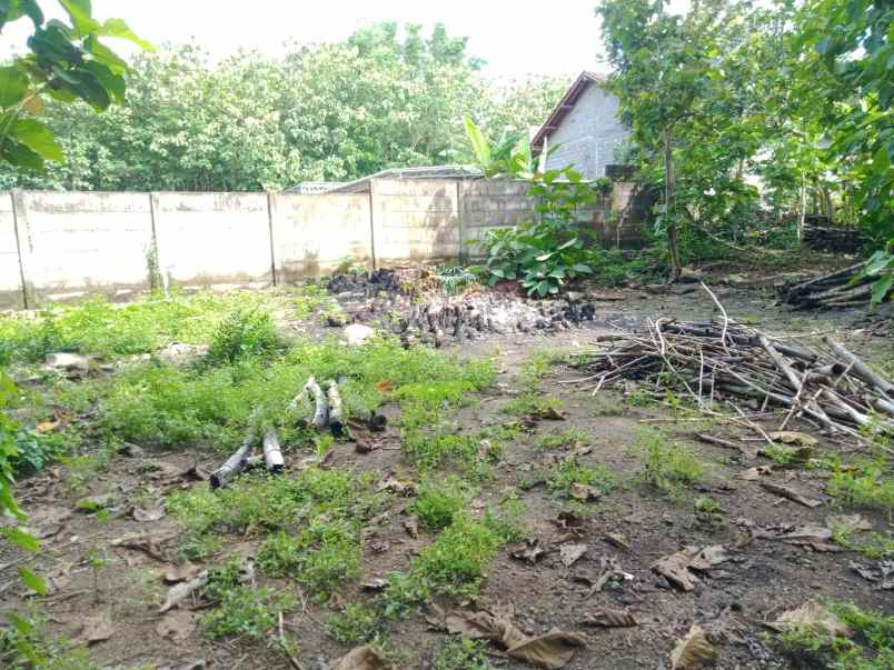 tanah luas murah srikayangan sentolo