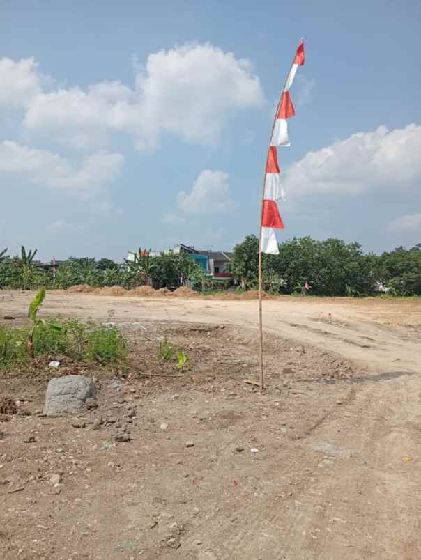 tanah murah di dekat kampus undip tembalang