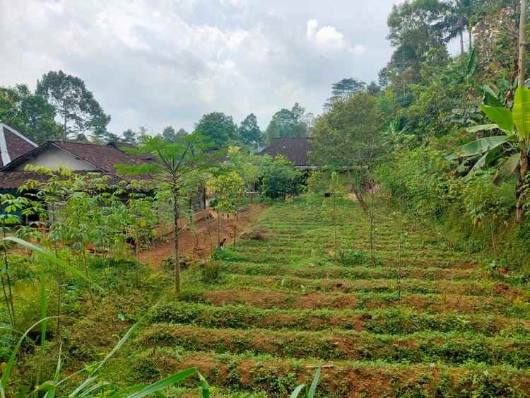 tanah ngargoyoso karanganyar