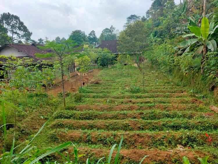 tanah ngargoyoso karanganyar