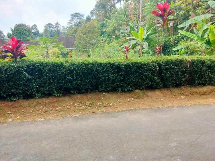 tanah ngargoyoso karanganyar