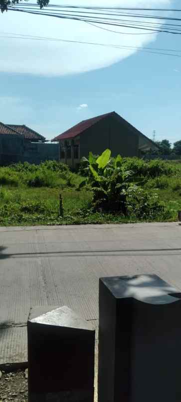 tanah pekarangan pinggir jl raya strategis