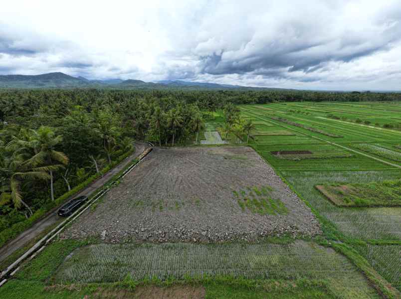 tanah strategis dekat bandara yia siap bangun shm