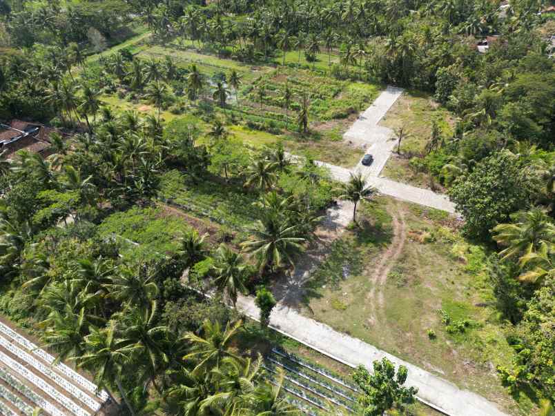 tanah strategis jogja dekat exit tol temon bandara yia