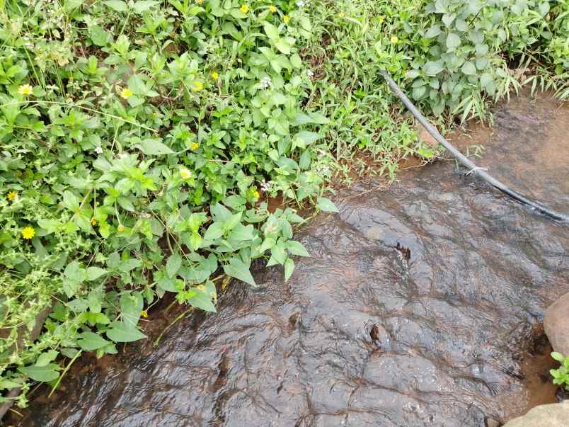 tanah subur air view pegunungan subang