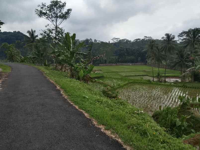 tanah subur air view pegunungan subang