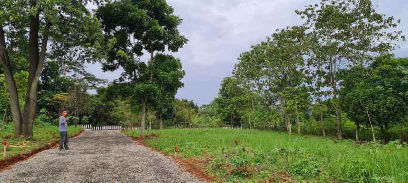 tanah tanjungsari kab bogor