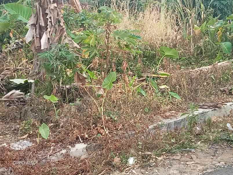 tanah view laut di kemiling luas 150m surat shm