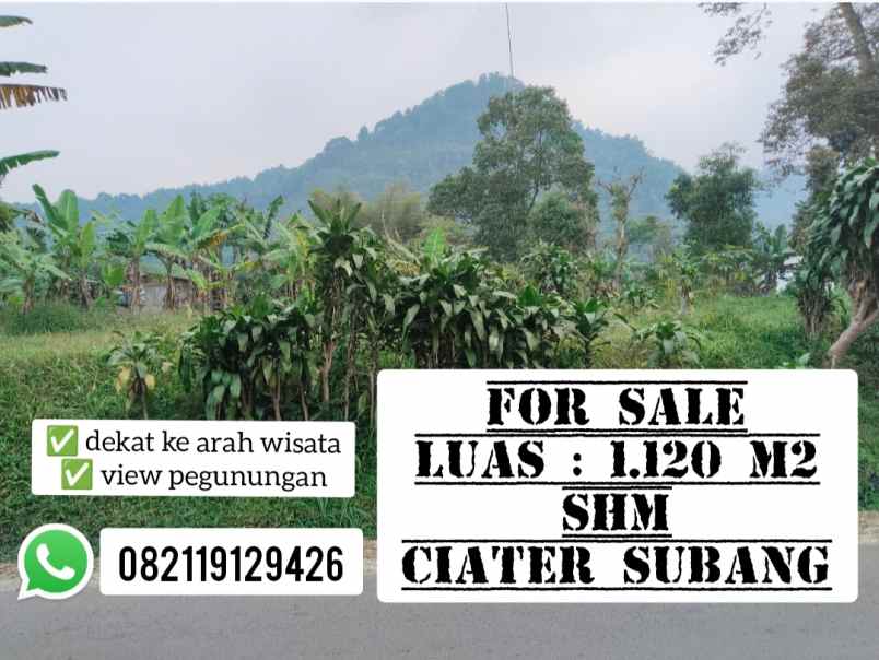 tanah view pegunungan ciater subang jawa barat