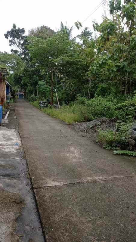 tanah wonotawang ngentak