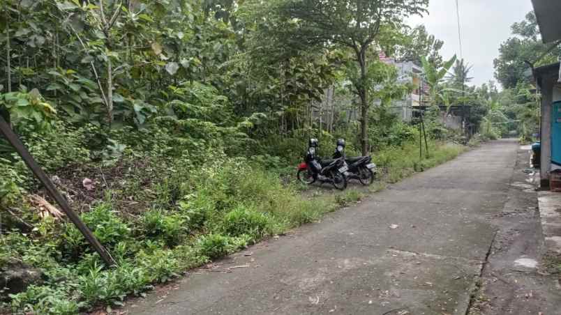 tanah wonotawang ngentak