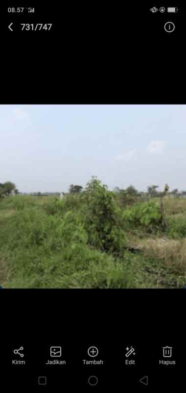 tegalan murah di kaliboto