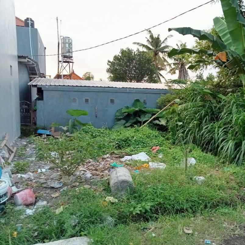 dijual 1 59 are jl subak belaki celuk sukawati gianyar