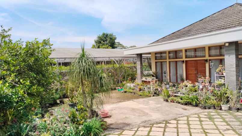 dijual rumah jalan ciumbuleuit kota bandung