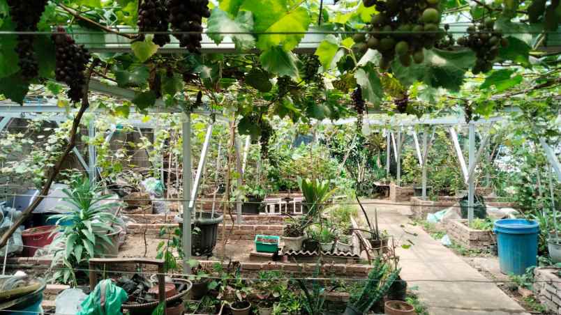 dijual rumah jalan ciumbuleuit kota bandung