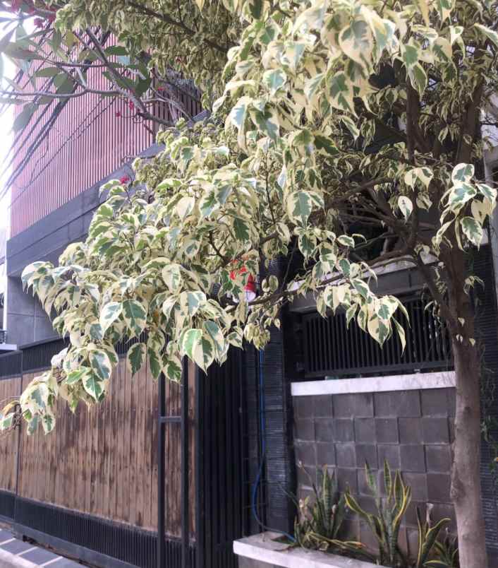 dijual rumah komplek ddn pondok kelapa