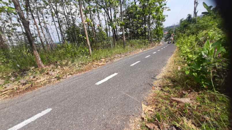 dijual rumah pundungrejo