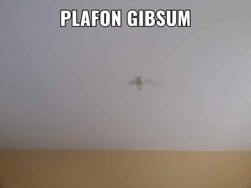 dijual rumah tanjung selamat medan