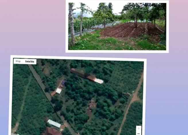 dijual tanah agro kusuma