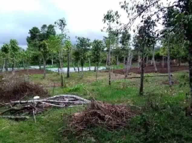 dijual tanah agro kusuma