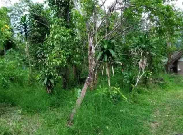 dijual tanah agro kusuma